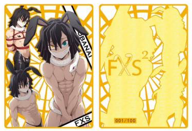 FXS Custom - Bunny Girl Paradise V2 Custom Metal Cards