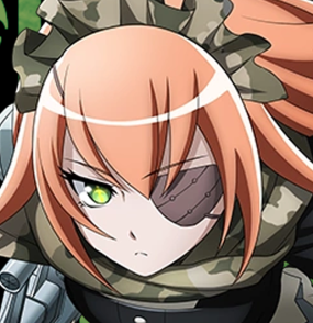 FXS Overlord Black Manga Metal Card Collection